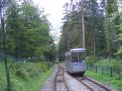 Krynica 9.JPG